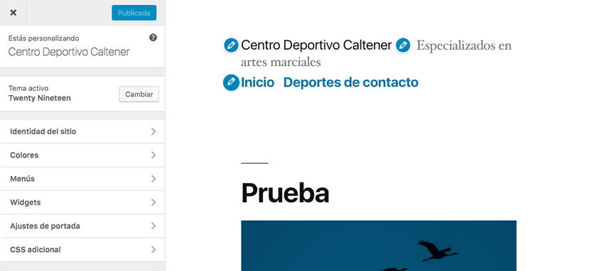previsualizar tema wordpress